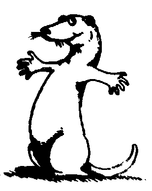 ferret.gif (3880 bytes)